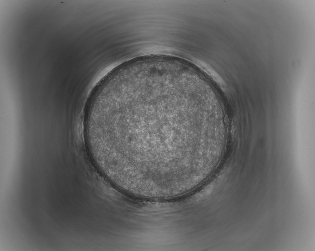 X0000111350877200907310950