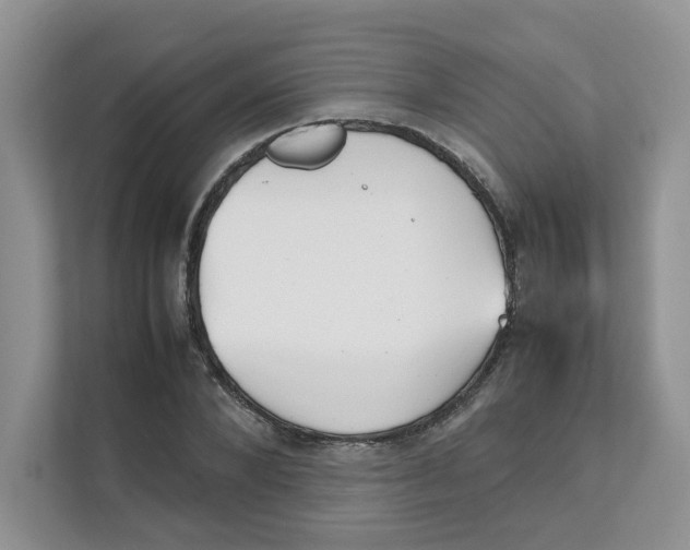 X0000111350880200907310950