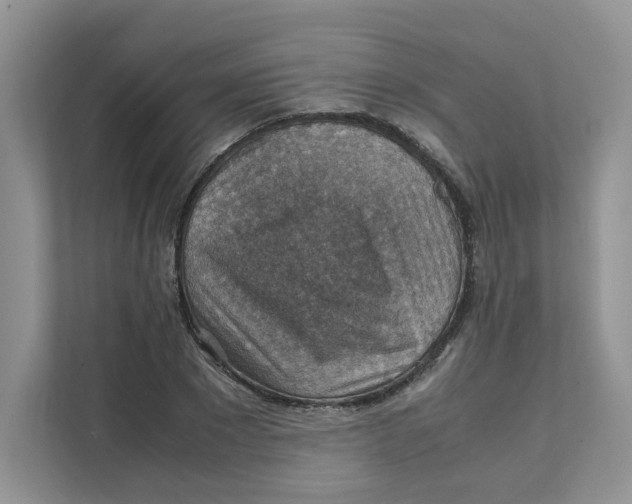 X0000111350881200907310950