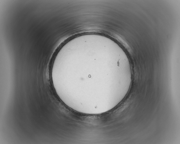 X0000111350883200907310950