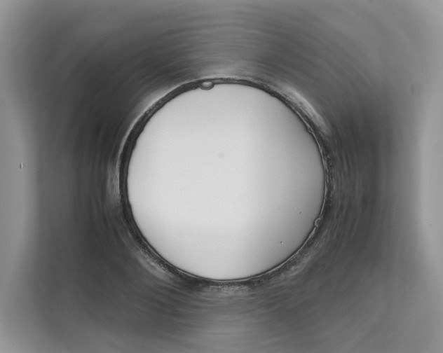 X0000111350884200907310950