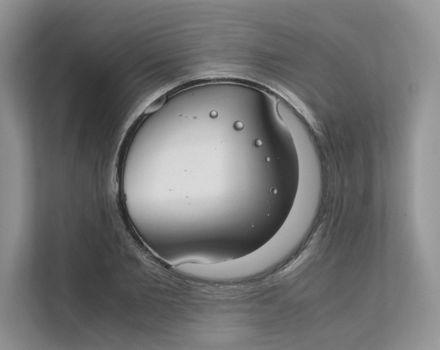 X0000111350885200907310950