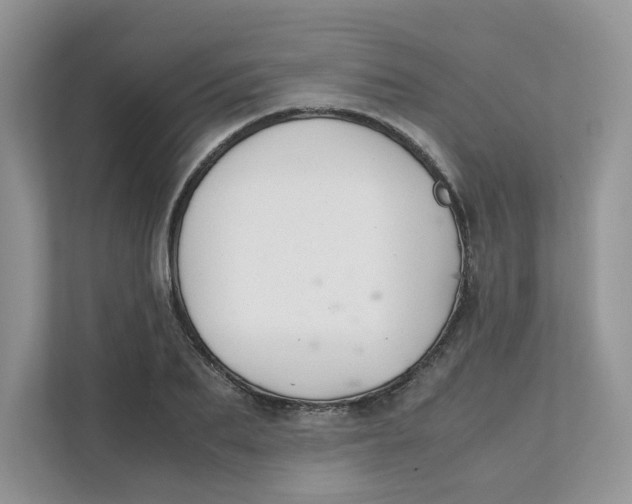 X0000111350887200907310950