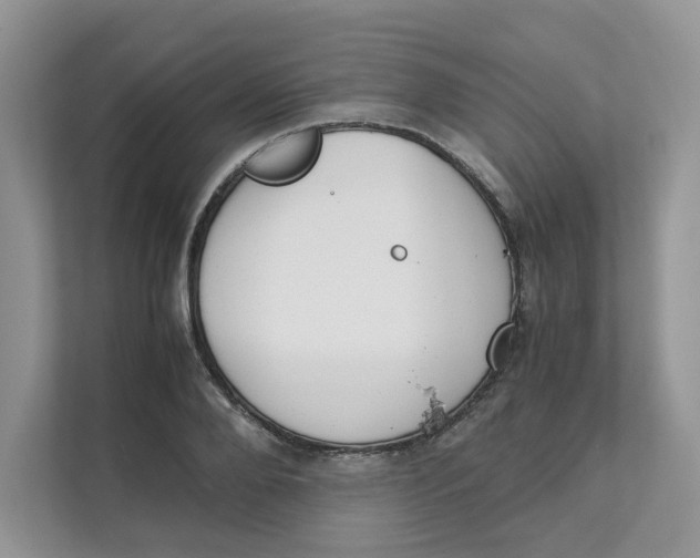 X0000111350888200907310950