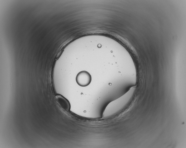 X0000111350889200907310950