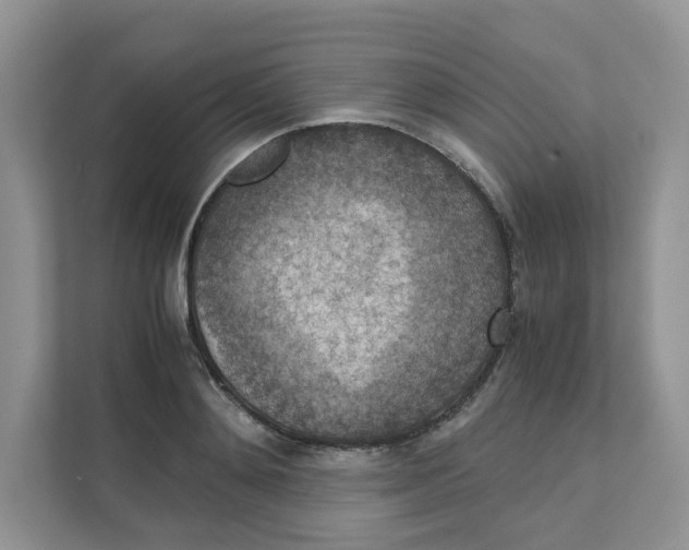 X0000111350892200907310950