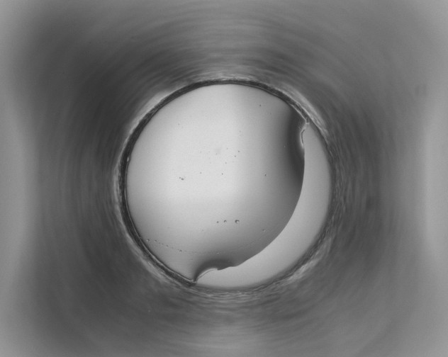 X0000111350893200907310950