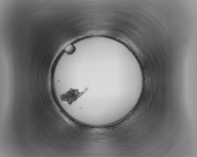 X0000111350894200907310950