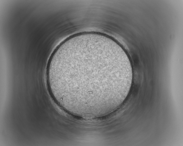 X0000111350895200907310950