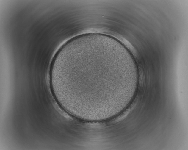 X0000111350896200907310950