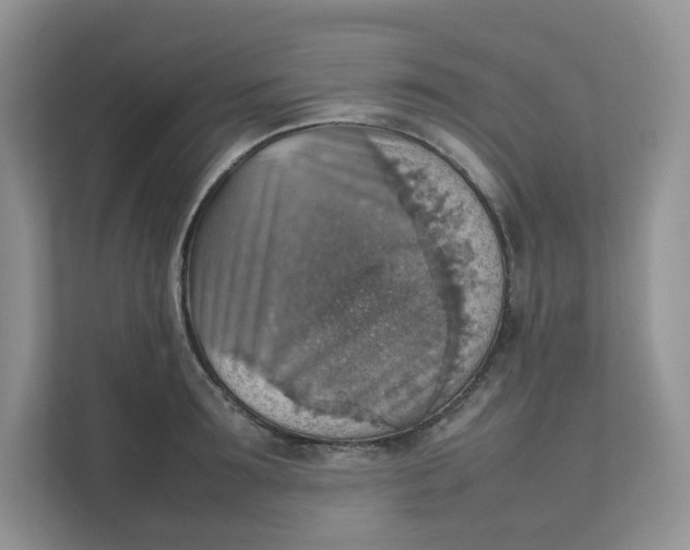 X0000111350899200907310950