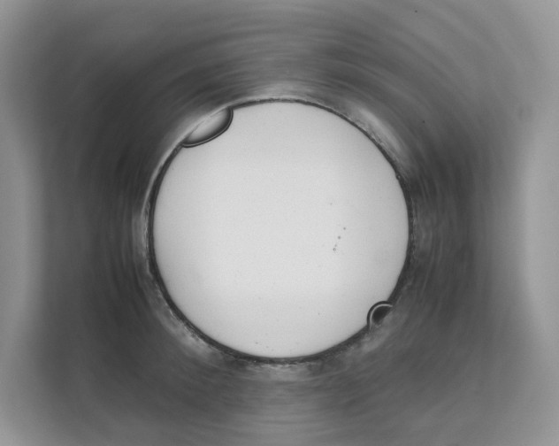 X0000111350900200907310950