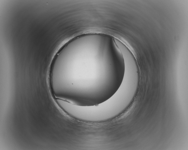 X0000111350901200907310950