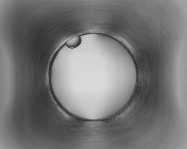 X0000111350902200907310950