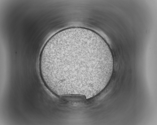 X0000111350903200907310950