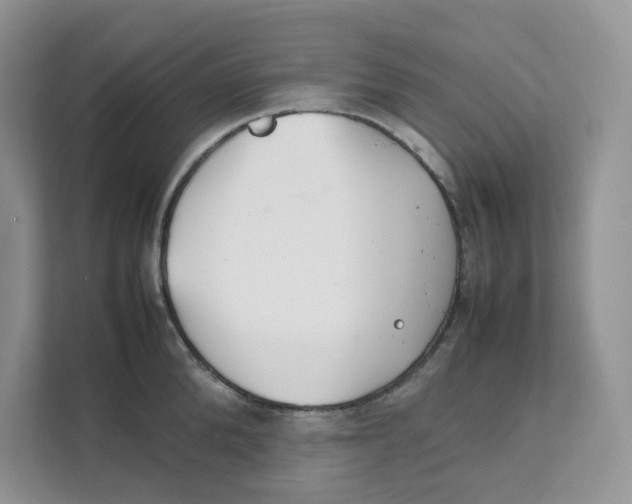 X0000111350904200907310950