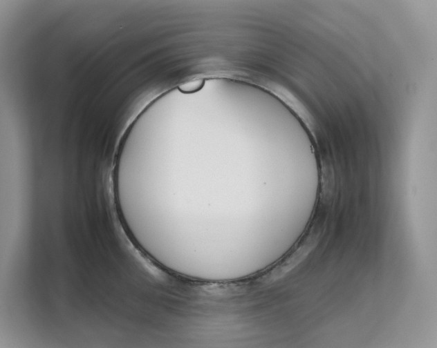 X0000111350906200907310949