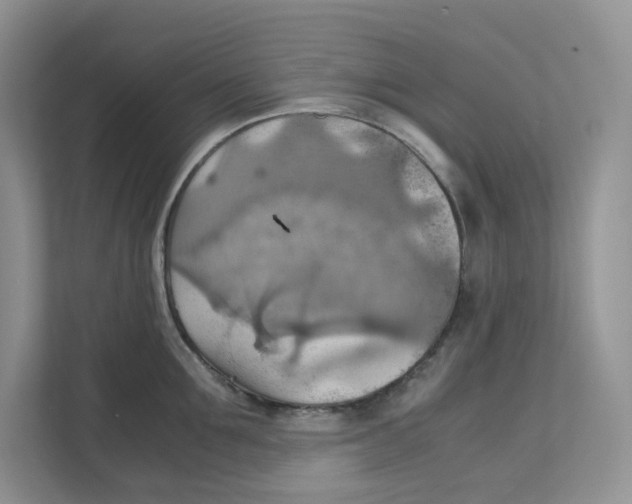 X0000111350907200907310949