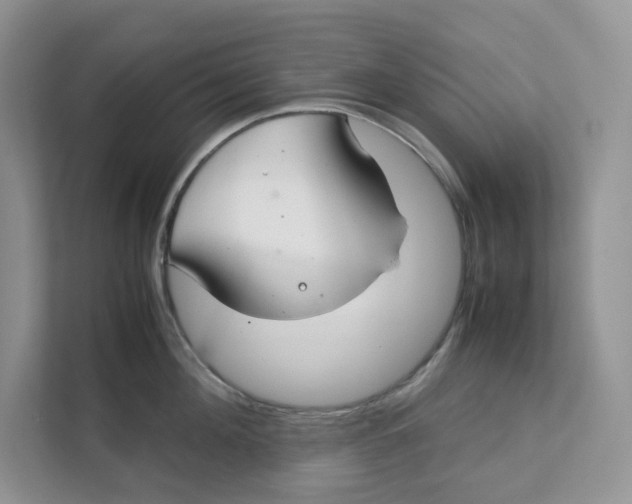 X0000111350908200907310949