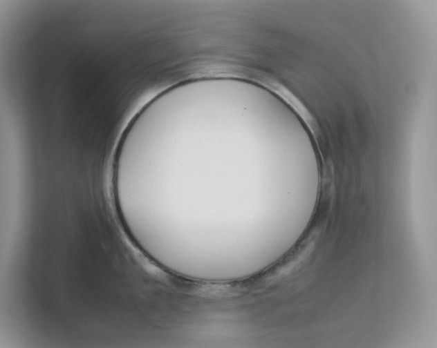 X0000111350909200907310949