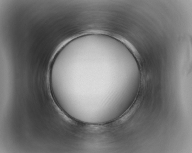 X0000111350910200907310949