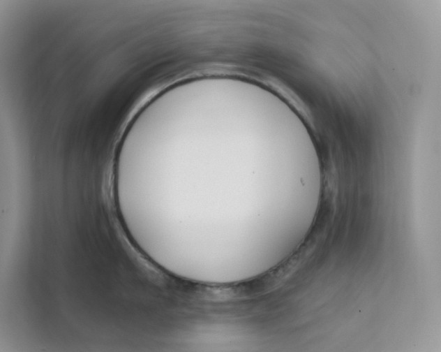 X0000111350911200907310949