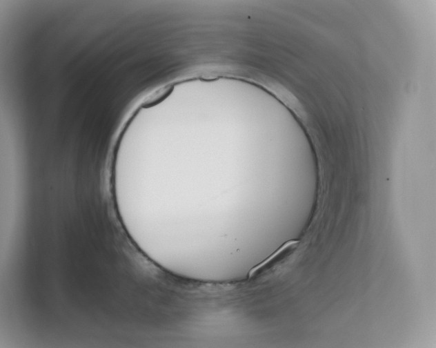 X0000111350912200907310949