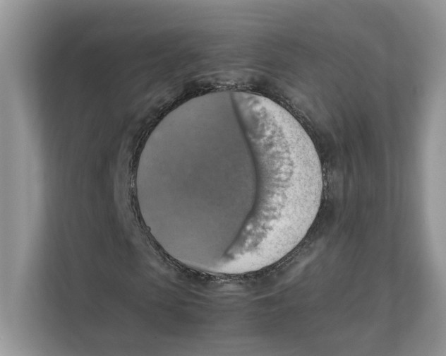 X0000111350913200907310949