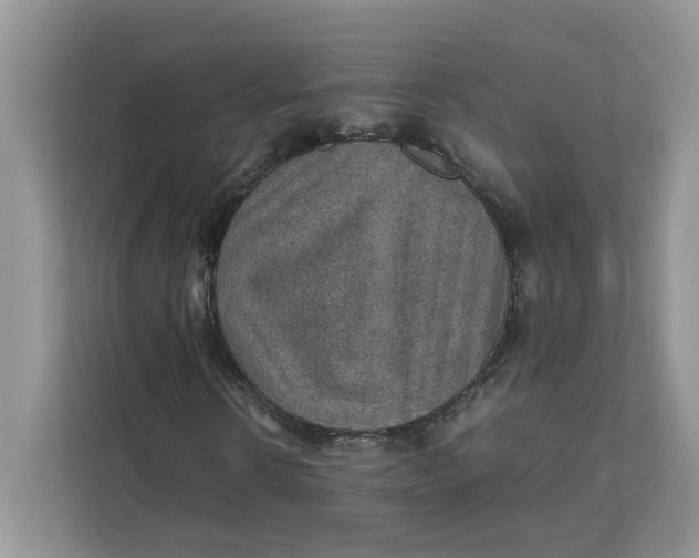 X0000111350914200907310949