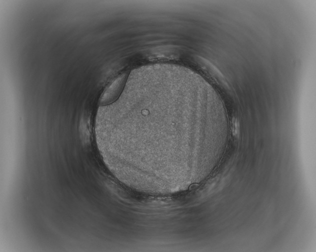 X0000111350915200907310949