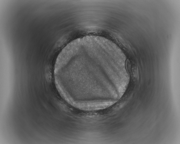 X0000111350916200907310949