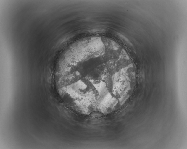 X0000111350917200907310949