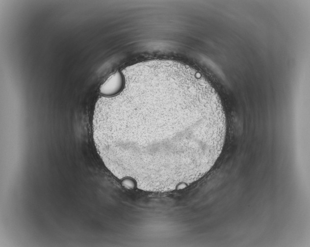 X0000111350918200907310949