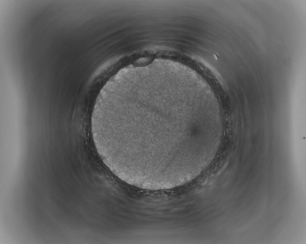 X0000111350919200907310949