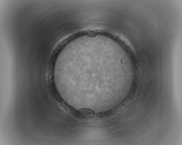 X0000111350920200907310949