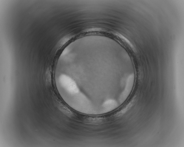 X0000111350921200907310949