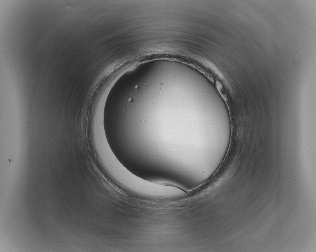 X0000111350922200907310949