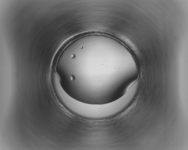 X0000111350924200907310949