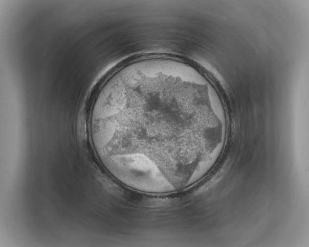 X0000111350925200907310949