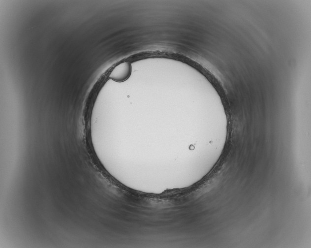 X0000111350927200907310949