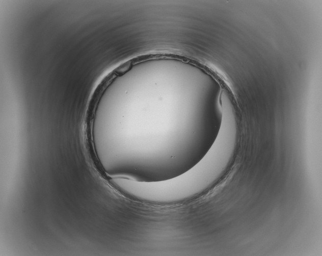 X0000111350928200907310949