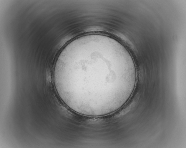 X0000111350929200907310949