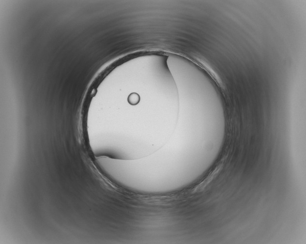 X0000111350932200907310949