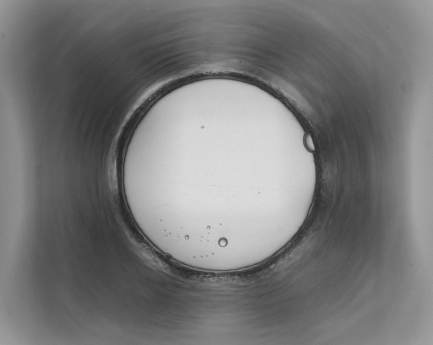 X0000111350934200907310949