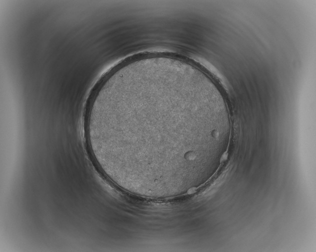 X0000111350935200907310949