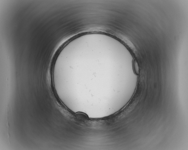 X0000111350936200907310949