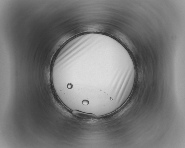 X0000111350938200907310949