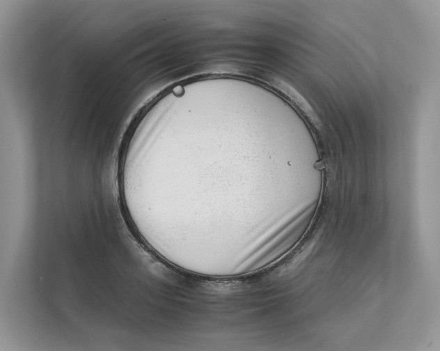 X0000111350939200907310949