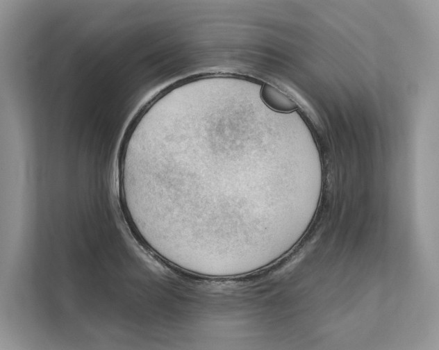 X0000111350940200907310949