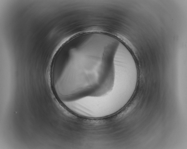 X0000111350941200907310949